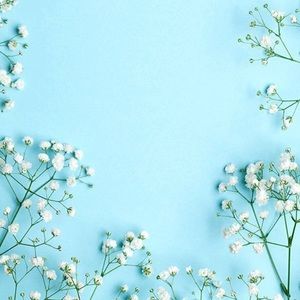 Meet your Posher, Ella